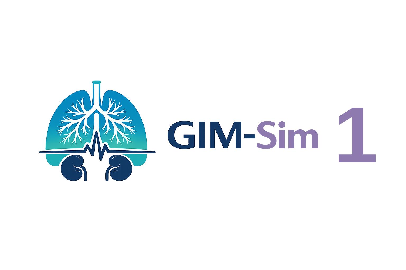 GIM-Sim: 1